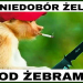 Ewa Banaszak o stosowaniu doustnych preparatów zawierających żelazo i produktach żywnościowych zawierających ten pierwiastek.
