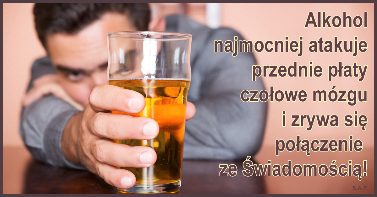 Alkohol najmocniej atakuje przednie płaty czołowe mózgu i zrywa się połączenie ze Świadomością! Ale nie na zawsze! Dlatego wymyślono stonkę i powszechne stonkowanie!