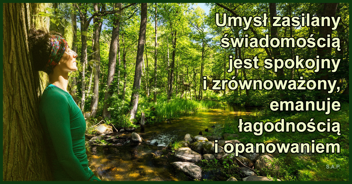 Świadomość człowieka nie jest fizyczna, ale można, a nawet trzeba jej doświadczać. Umysł zasilany świadomością jest spokojny i zrównoważony, emanuje łagodnością i opanowaniem.