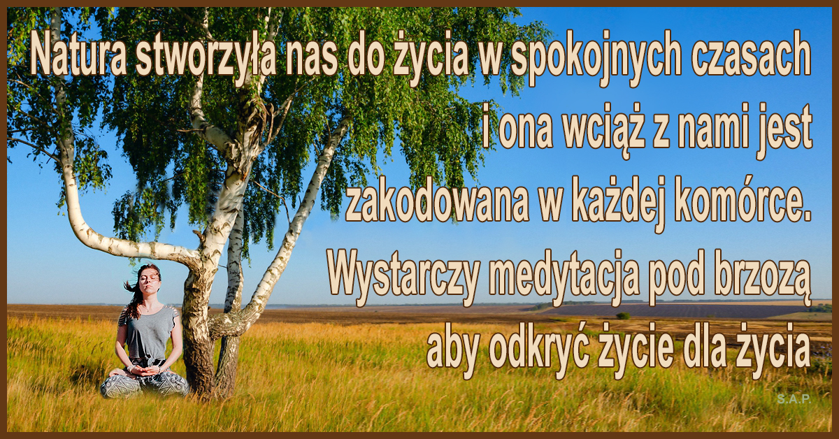 Natura stworzyła nas do egzystencji w spokojnych czasach i ona wciąż z nami jest zakodowana w każdej komórce. Wystarczy jakaś medytacja pod brzozą aby odkryć życie dla życia.