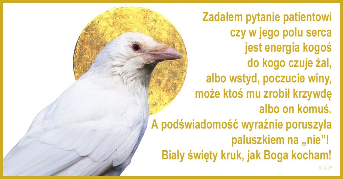 Na sobotnią sesję hipnoterapii zapisał się pewien starszy pan w moim wieku. Okay, nie będę ściemniał, pięć lat starszy ode mnie. Jeszcze nie wiedziałem, że to biały kruk.