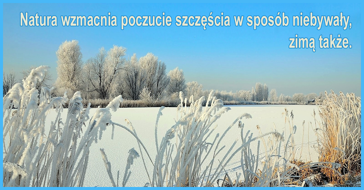 Cała natura jest szczęśliwa oprócz człowieka. Im dalej jesteśmy od natury, tym bardziej jesteśmy nieszczęśliwi, bo to się lepiej sprawdza niż szczęście.