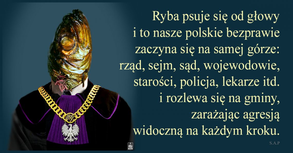 Ryba psuje się od głowy i to nasze polskie bezprawie zaczyna się na samej górze i rozlewa się na gminy, zarażając agresją widoczną na każdym kroku.