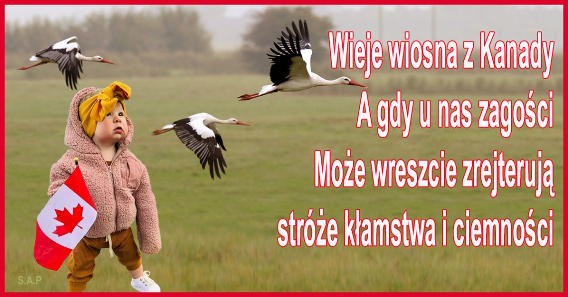 Wygląda to na koniec wojny! W naszych mediach niczego nie pokazują, rzecz jasna. Mają nadzieję, że wszystko rozejdzie się po kościach, ale dupska już im się trzęsą ze strachu.