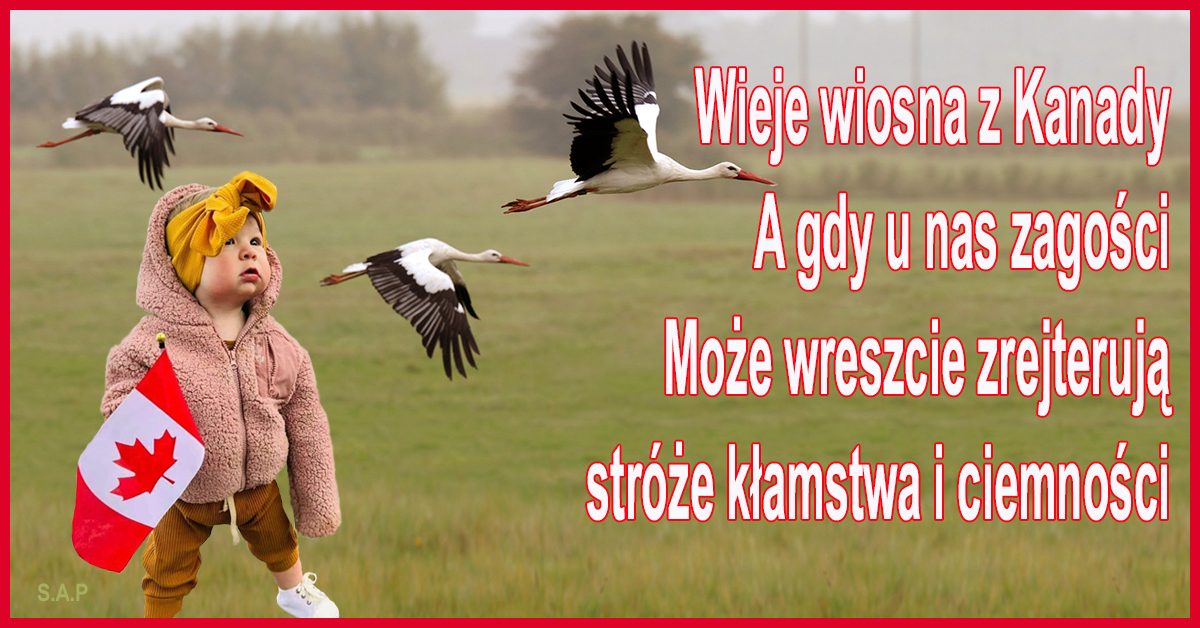 Wygląda to na koniec wojny! W naszych mediach niczego nie pokazują, rzecz jasna. Mają nadzieję, że wszystko rozejdzie się po kościach, ale dupska już im się trzęsą ze strachu.