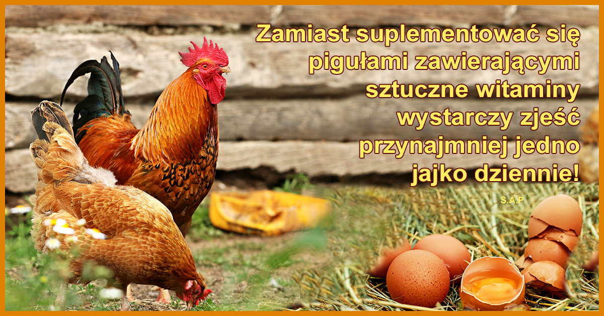 Jeśli kiedyś przyjdzie Wam ochota na suplementację pigułami, zacznijcie od jajka! Zawierają mnóstwo naturalnych witamin i minerałów!