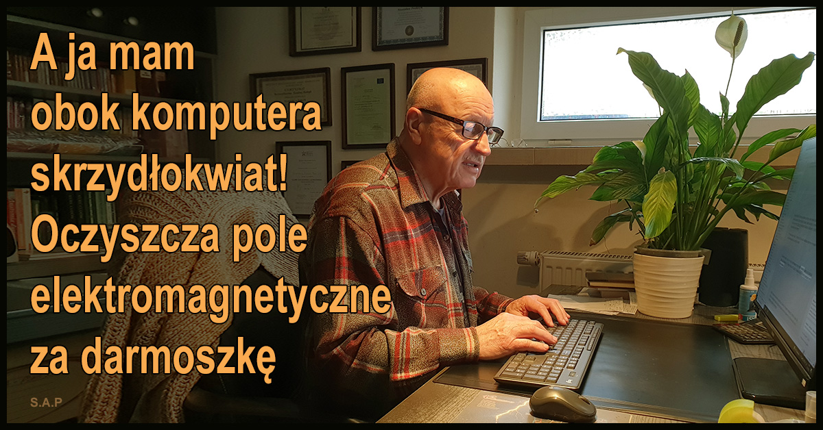 Profesor z uniwersytetu Harvarda prowadził badania nad wpływem telewizji na zdrowie. Czy wiecie, jak to wygląda? Przerażająco!