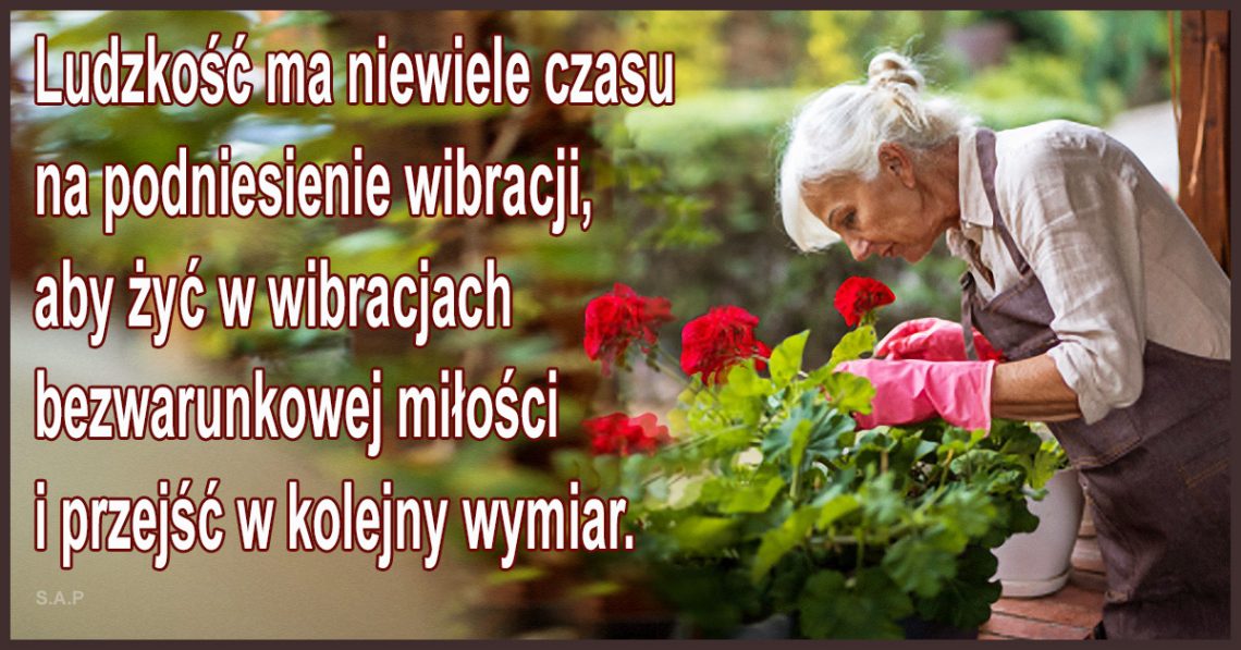 Każdy wirus wibruje w określonym spektrum częstotliwości i aby mógł wbudować się do ludzkiego organizmu musi synchronizować z naszym DNA.