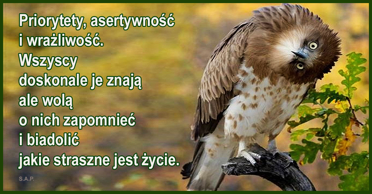 Wszyscy doskonale wiedzą czym jest asertywność i wrażliwość, ale wolą o nich zapomnieć i biadolić jakie straszne jest życie.