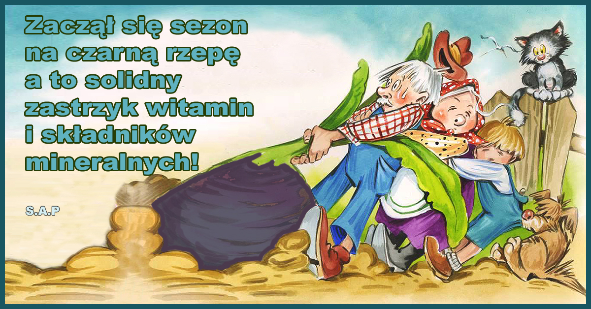 Właśnie teraz mamy sezon na rzepę. Na targu pojawiła się czarna rzepa w niezwykle przystępnej cenie jak na dzisiejsze czasy.