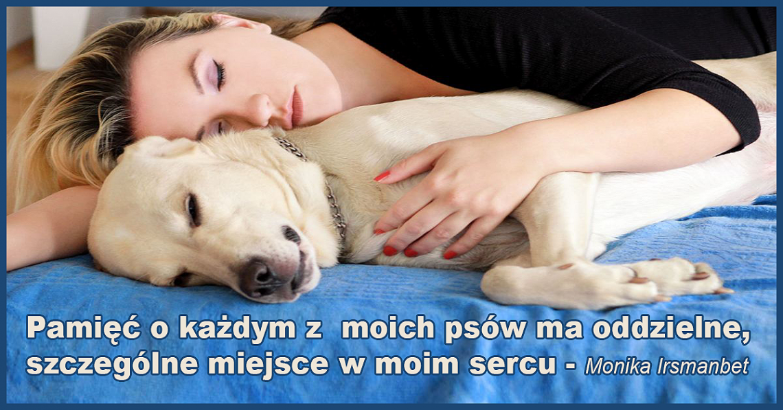 Monika Irsmanbet przygląda się relacjom ludzi i psów i opowiada o tym jak psy obdarowują nas miłością i odchodzą, zostawiając w sercu wyrwę nie do zaleczenia.