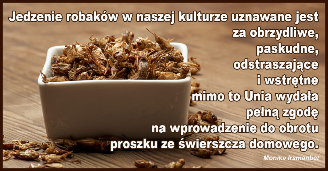 Monika Irsmanbet o zgodzie Unii na wprowadzenie do obrotu żywieniowego proszku ze świerszcza domowego i o planowanym rozszerzeniu zgody na inne owady.