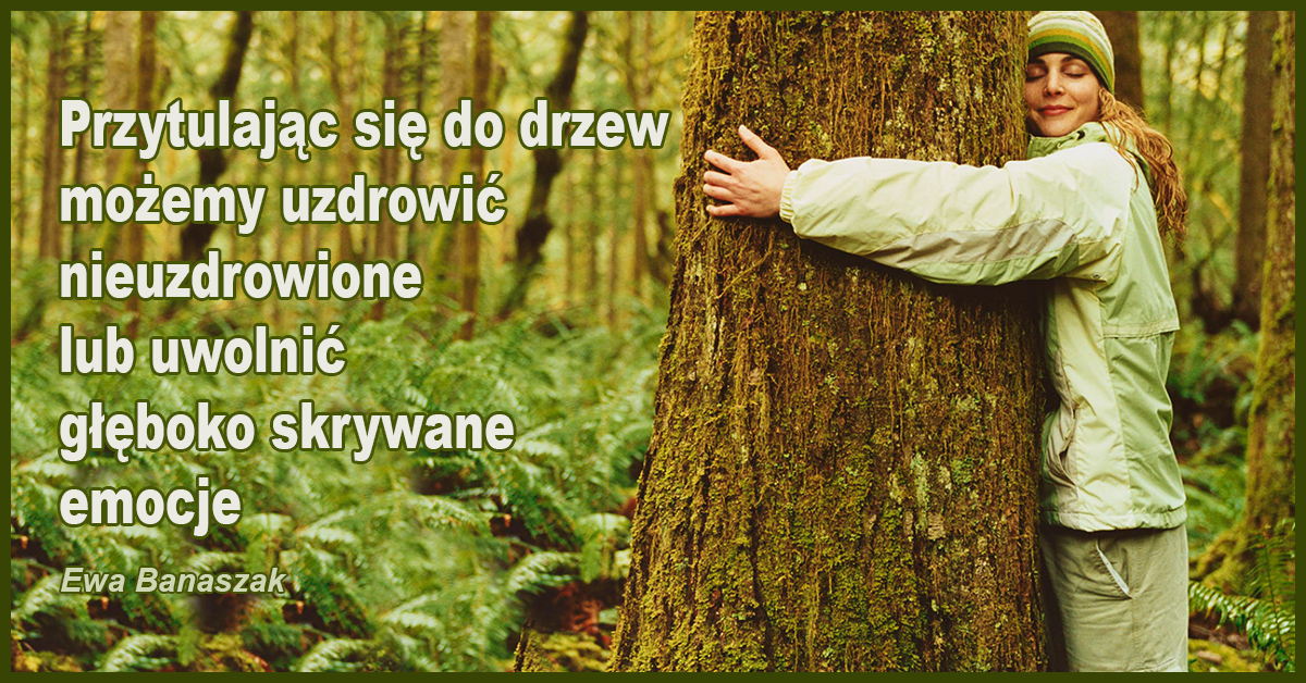 Obcowanie z naturą doskonale wpływa na cały organizm, wystarczy spacer po parku czy lesie, aby obniżyć poziom hormonów stresu i podnieść pozytywne wibracje.