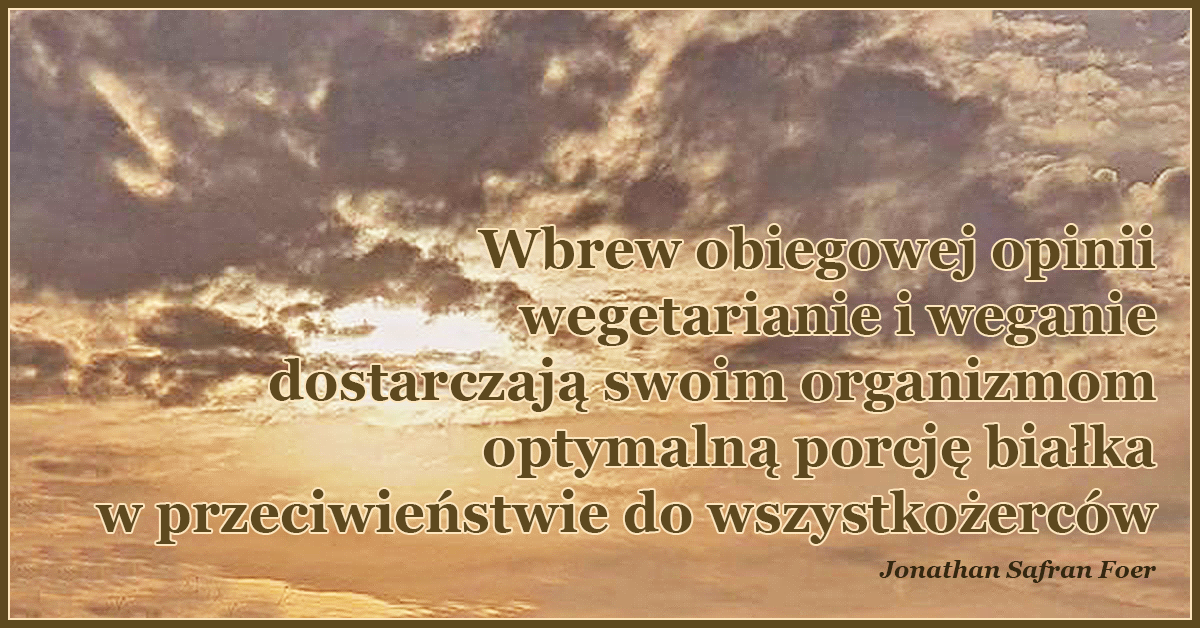 Wbrew obiegowej opinii wegetarianie i weganie dostarczają swoim organizmom optymalną porcję białka w przeciwieństwie do wszystkożerców.