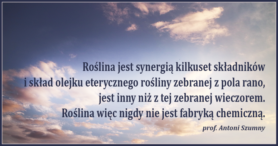 Roślina jest synergią kilkuset składników i skład olejku eterycznego rośliny zebranej z pola rano, jest inny niż z tej zebranej wieczorem.