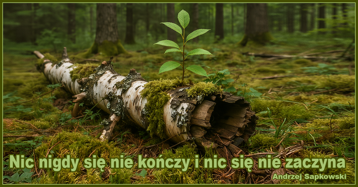 Nic nigdy się nie kończy i nic się nie zaczyna - Andrzej Sapkowski